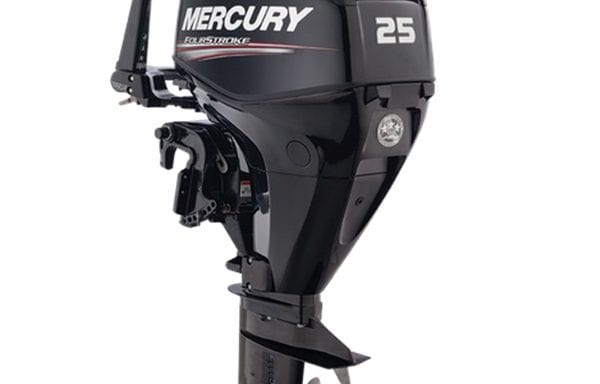 Mercury 25 EFI Outboard