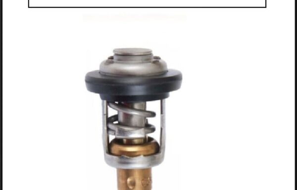 Honda Thermostat BF8D Thru BF100D 19300-ZW9-003